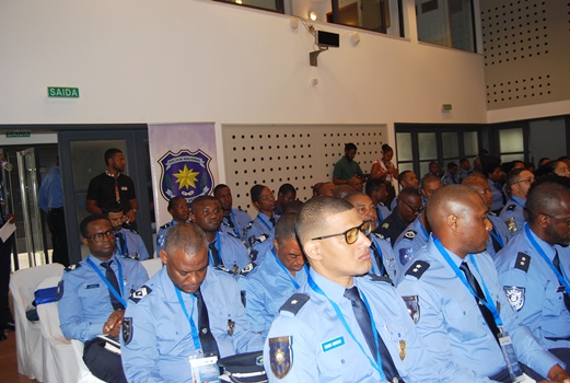 DSC_0007 - Cópia - Cópia